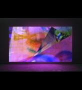 Mark Soo. Cuttings, 2012. Looped digital projection, asynchronous soundtrack, duration variable